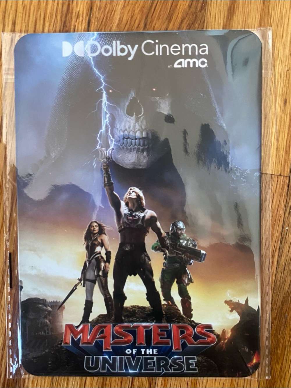 Masters of the Universe Dolby Cinema AMC Aluminum Poster - Blue Gray Artwork